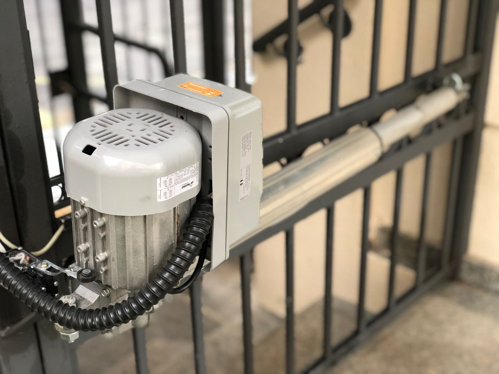 WhatsApp Image 2023-01-06 at 06.55.15 (1).jpeg